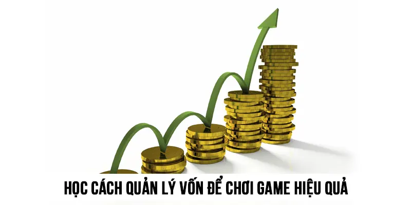 Học cách quản lý vốn để chơi Kho báu Aztec tối ưu lợi nhuận